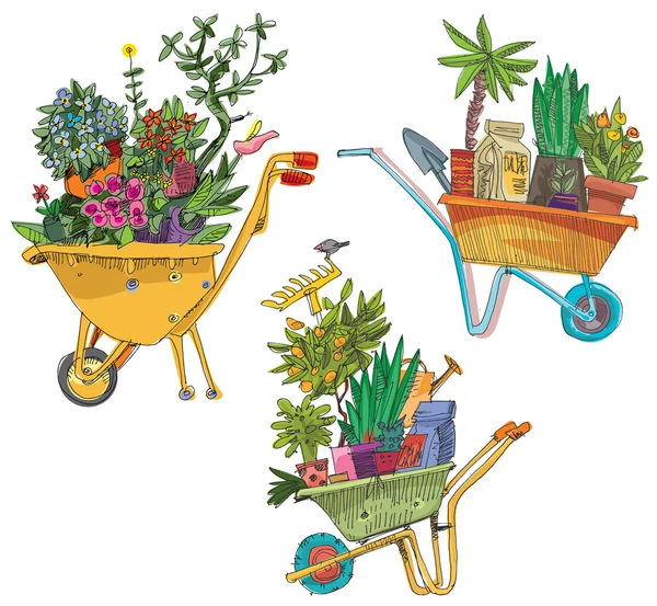 Set of wheelbarrows full of plants — Stock Vector