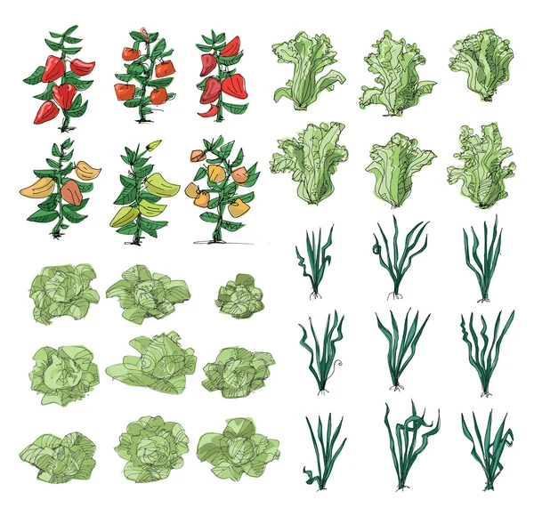 Cucina-giardino - illustrazione cartone animato — Vettoriale Stock