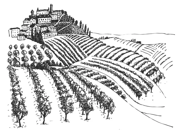 Weinberg Landschaft Tuschebild — Stockvektor