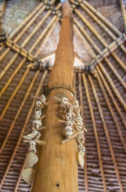 Kara Afrika büyüsü (juju) için kullanılan kabuklar Afrika 'da hangi zanaat seremonisi, aynı zamanda doğal şifacı (şifacı))