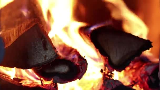 Plamen kamen na dřevo oheň zblízka. — Stock video