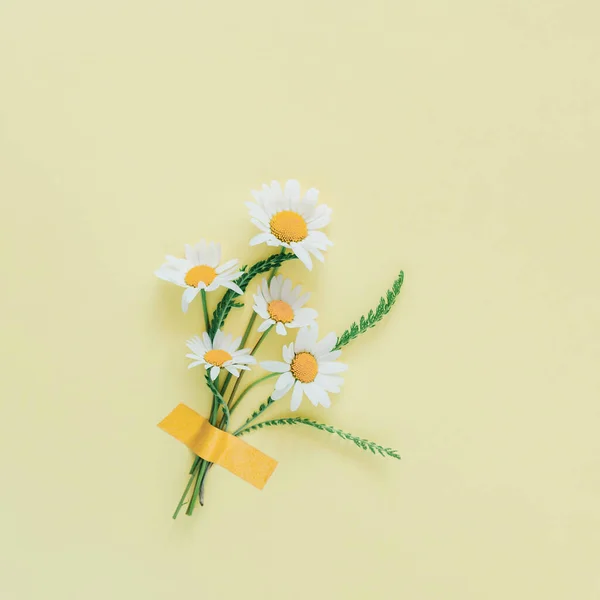 Flores de manzanilla pegadas al fondo amarillo claro. —  Fotos de Stock