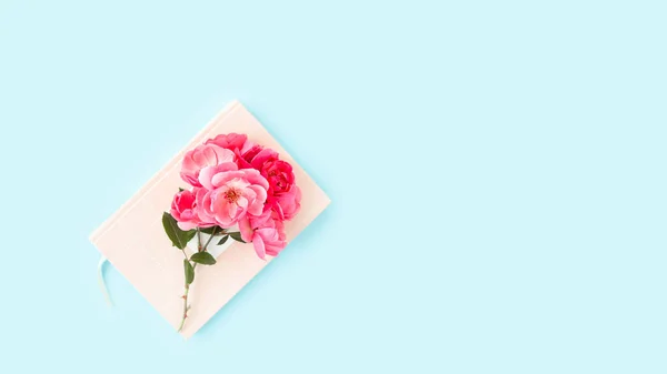 Гілка з трояндовими бруньками, що лежать на рожевому блокноті на синьому фоні — стокове фото