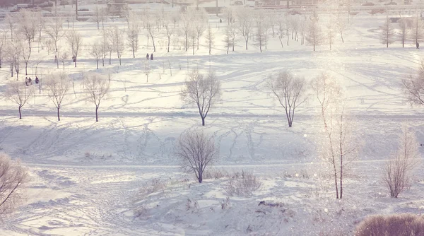 Снежный парк — стоковое фото