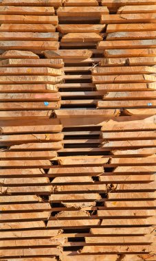 taze ahşap Çıtçıt