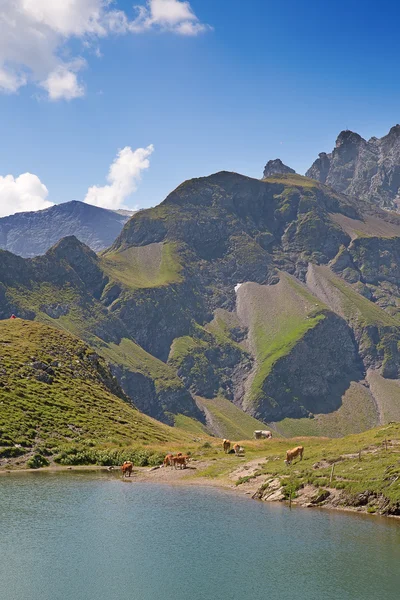 Hiking in swiss alps — Stock Photo, Image