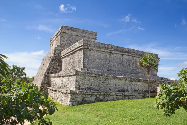 Ruines de la forteresse maya — Photo