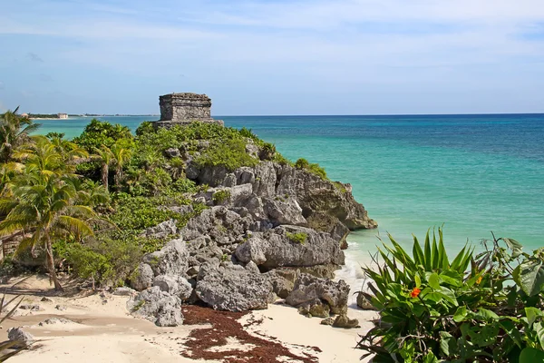 Rovine della fortezza Maya — Foto Stock