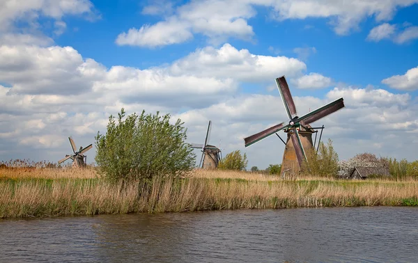 Molinos de viento antiguos cerca de Kinderdijk — Foto de Stock