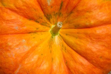 olgun kabak arka plan 