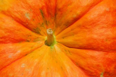 olgun kabak arka plan 