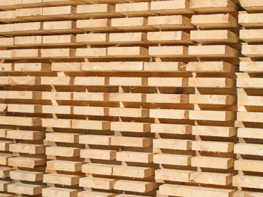 taze ahşap Çıtçıt