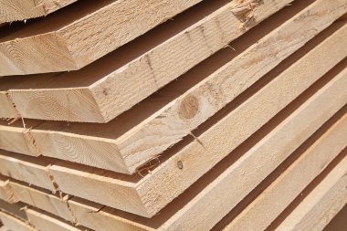 taze ahşap Çıtçıt