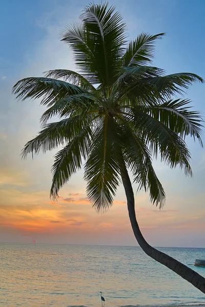 Sunset over Maldivian island — Stock Photo, Image