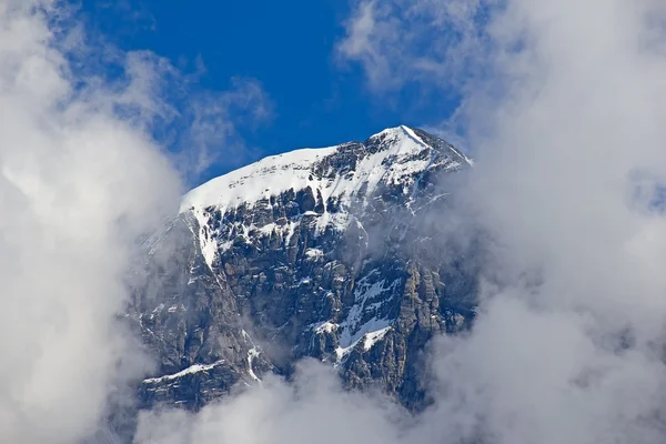 多云的 Eiger 山 — 图库照片