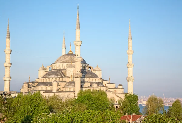 Famosa "Moschea Blu " — Foto Stock