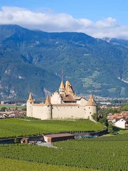 Berömda slottet chateau d'aigle — Stockfoto