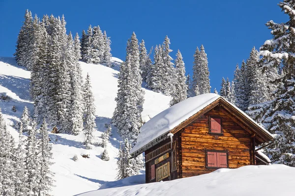 Vinter i schweiziska alperna — Stockfoto