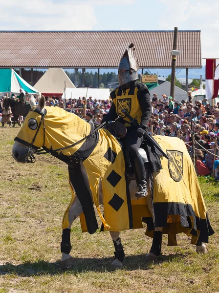 Uomo in armatura da cavaliere a cavallo — Foto Stock