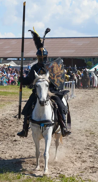 Człowiek w pancerz rycerz na koniu — Zdjęcie stockowe