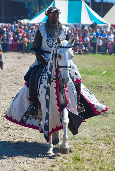 Homem de armadura de cavaleiro no cavalo — Fotografia de Stock