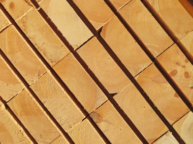 taze ahşap Çıtçıt