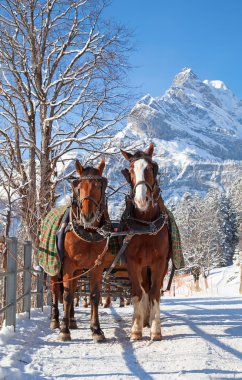 İsviçre Alplerinde kış