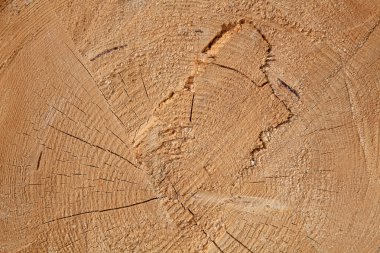 Yeni ahşap Çıtçıt yığını 