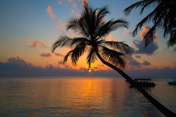 Puesta de sol sobre el océano en Maldivas —  Fotos de Stock