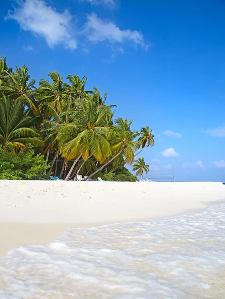 Maldivian island  in tropics. — Stock Photo, Image