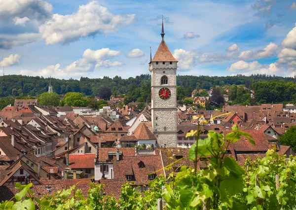 View on Rhine river — Stock Photo, Image