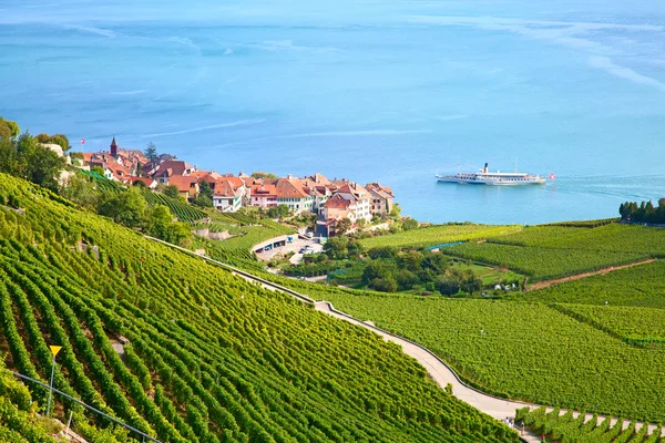 Winnice regionu lavaux — Zdjęcie stockowe