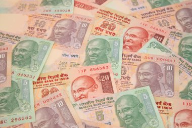 Hint banknotlarının koleksiyonu.