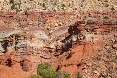 Utah, ABD 'deki Capitol Resif Ulusal Parkı