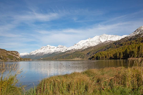 Maloja地区 收集连接瑞士和Ital的富饶湖泊 山脉和公路 — 图库照片