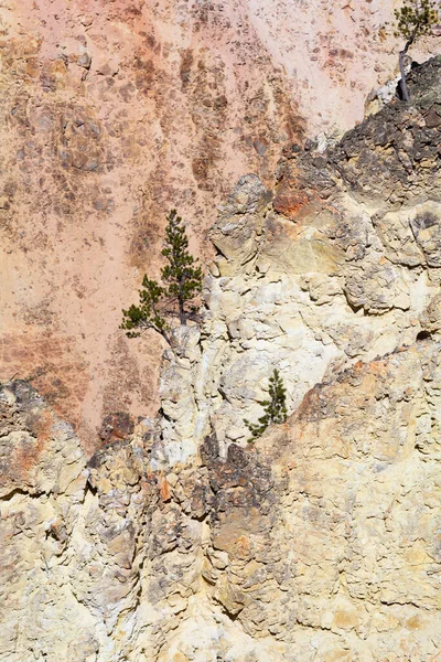 Cascata Canyon Nel Parco Nazionale Yellowstone Wyoming Stati Uniti — Foto Stock