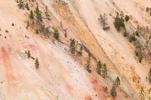 Καταρράκτης Και Φαράγγι Στο Εθνικό Πάρκο Yellowstone Γουαϊόμινγκ Ηπα — Φωτογραφία Αρχείου