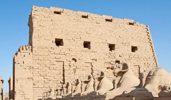 Karnak Komplex Samling Förfallna Tempel Kapell Pyloner Och Andra Byggnader — Stockfoto