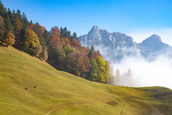 Podzim Indické Léto Švýcarských Alpách — Stock fotografie
