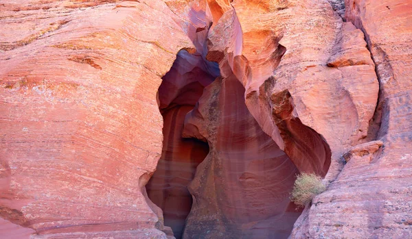 Arizona Page Yakınlarındaki Ünlü Antilop Kanyonu — Stok fotoğraf