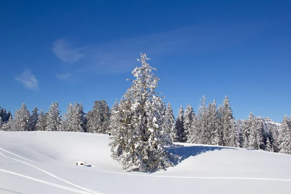 Zima Szwajcarskich Alpach Szwajcaria — Zdjęcie stockowe