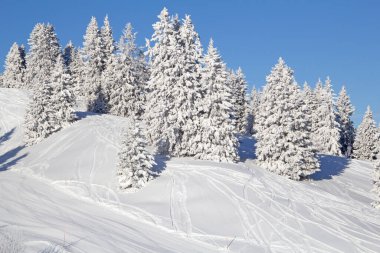 İsviçre Alplerinde kış