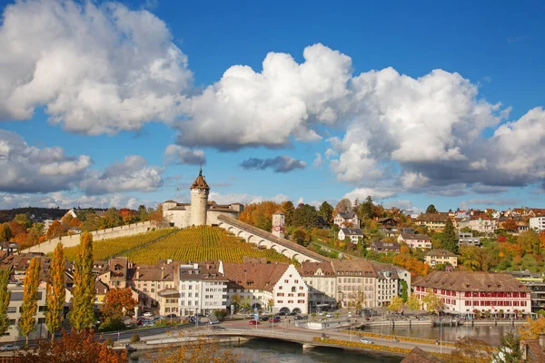 Rheinfall Avrupa Nın Büyük Şelalesi — Stok fotoğraf