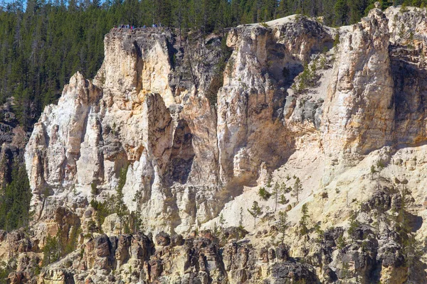 Cascada Cañón Parque Nacional Yellowstone Wyoming — Foto de Stock