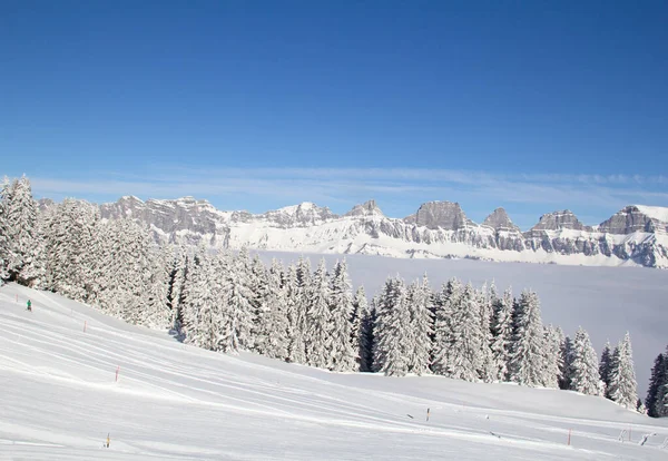 Winter Zwitserse Alpen Zwitserland — Stockfoto