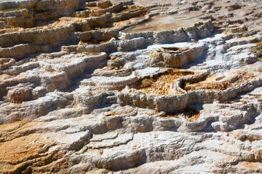 Yellowstone Ulusal Parkı 'ndaki Mamut Kaplıcaları, Wyoming, ABD
