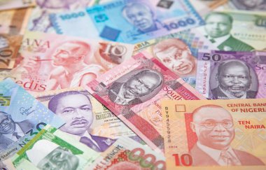 Güney Amerika banknotlarının çeşitliliği