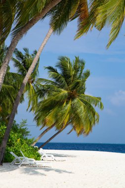 Maldivler 'de küçük bir ada. Palmiyelerle kaplı ve turkuvaz mavisi sularla çevrili. Güzel mercanları ve hayvanları var.