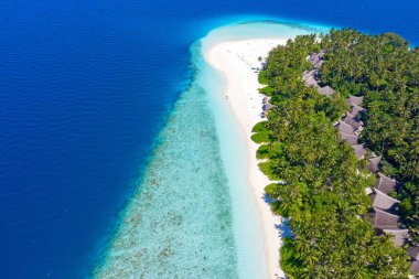 Maldivler 'de küçük bir ada. Palmiyelerle kaplı ve turkuvaz mavisi sularla çevrili. Güzel mercanları ve hayvanları var.