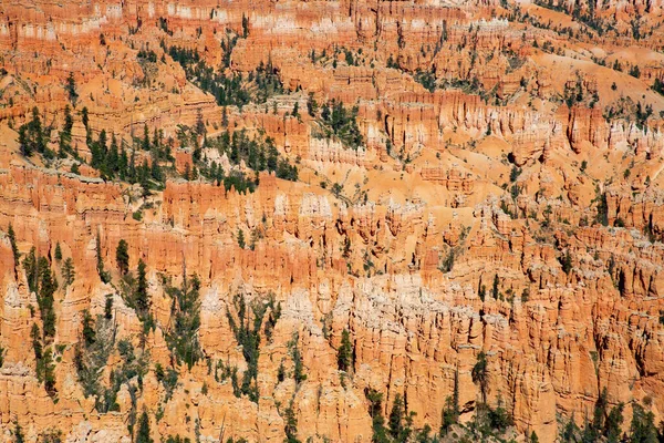 Parque Nacional Canyon Bryce Utah Eua — Fotografia de Stock